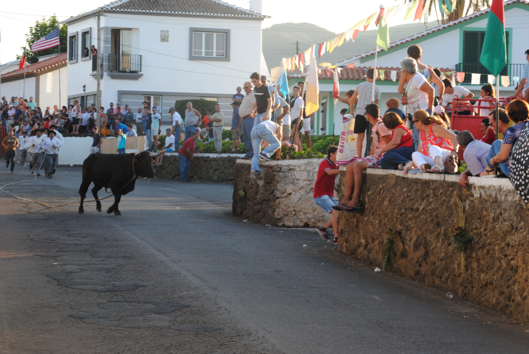 Bull Running on Terceira Island: An Azores Tradition - Married with ...