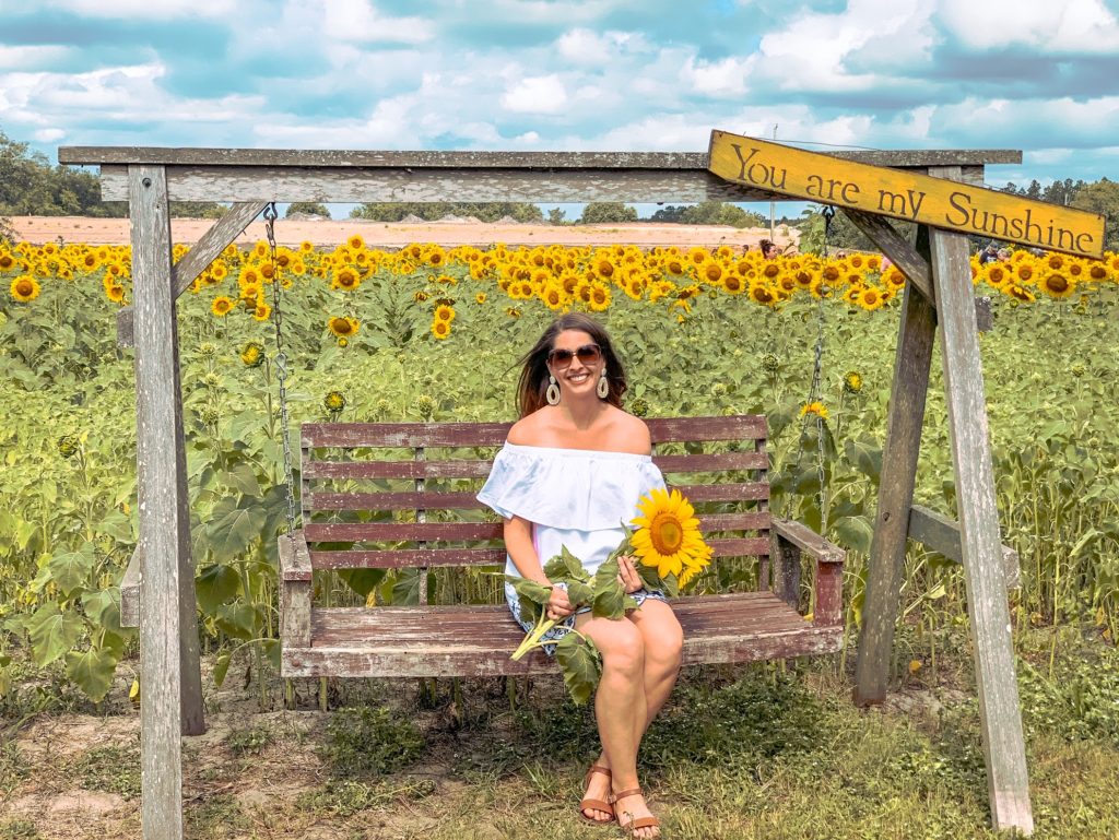 Picking sunflowers at Amazing Grace Family Farms near Jacksonville, Florida