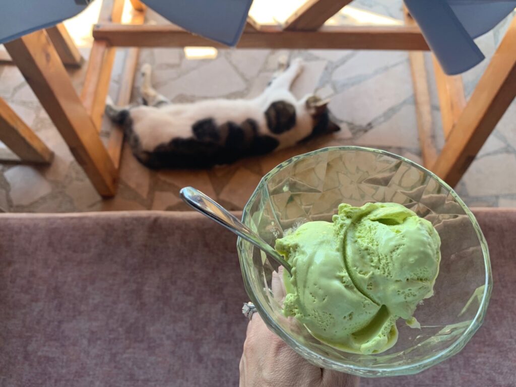 Gelato and cats in Mljet