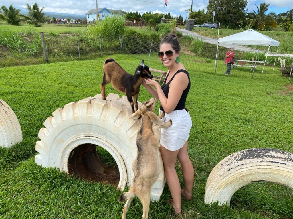 Honomu Dairy Goat Farm, Big Island, Hawaii