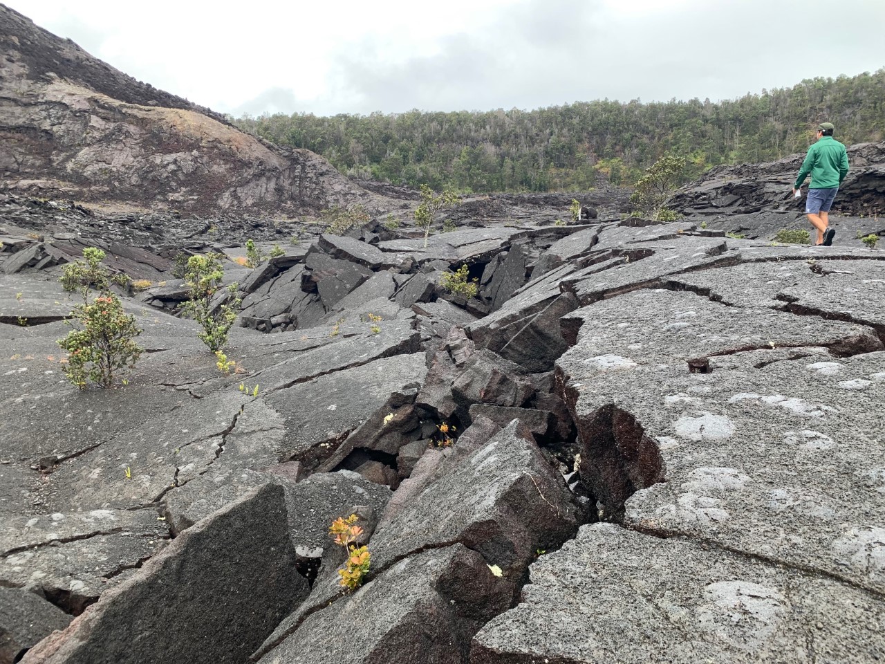 One Day in Hawaii Volcanoes National Park - Married with Wanderlust