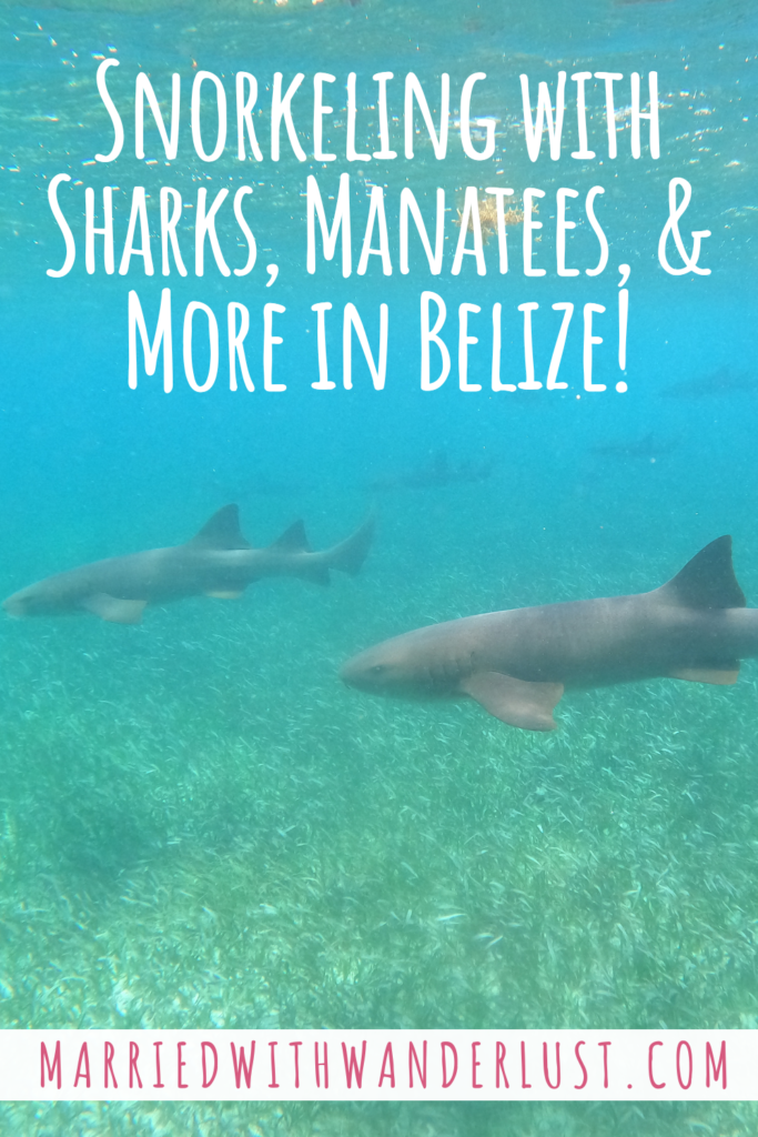 belize salt life tours