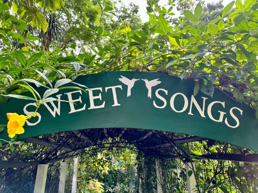 https://marriedwithwanderlust.com/wp-content/uploads/2023/07/Sweet-Songs-Jungle-Lodge-sign-1024x768.jpeg