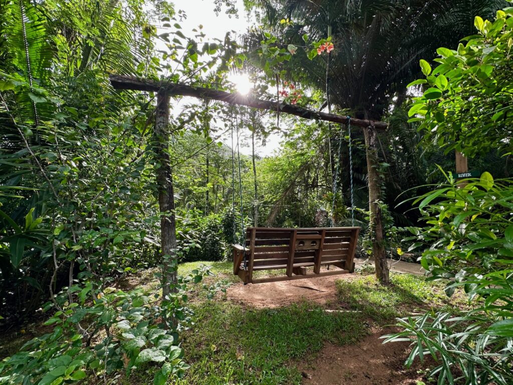 Swing at Sweet Songs Jungle Lodge, Belize