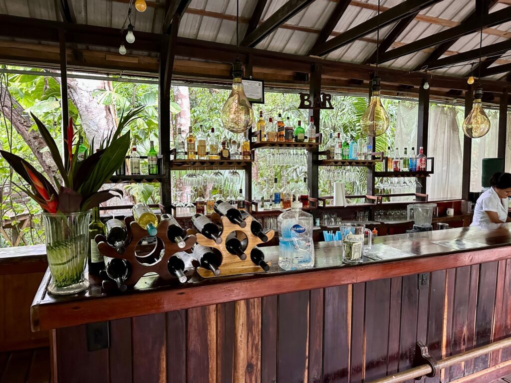 Treehouse Bar at Sweet Songs Jungle Lodge, Belize