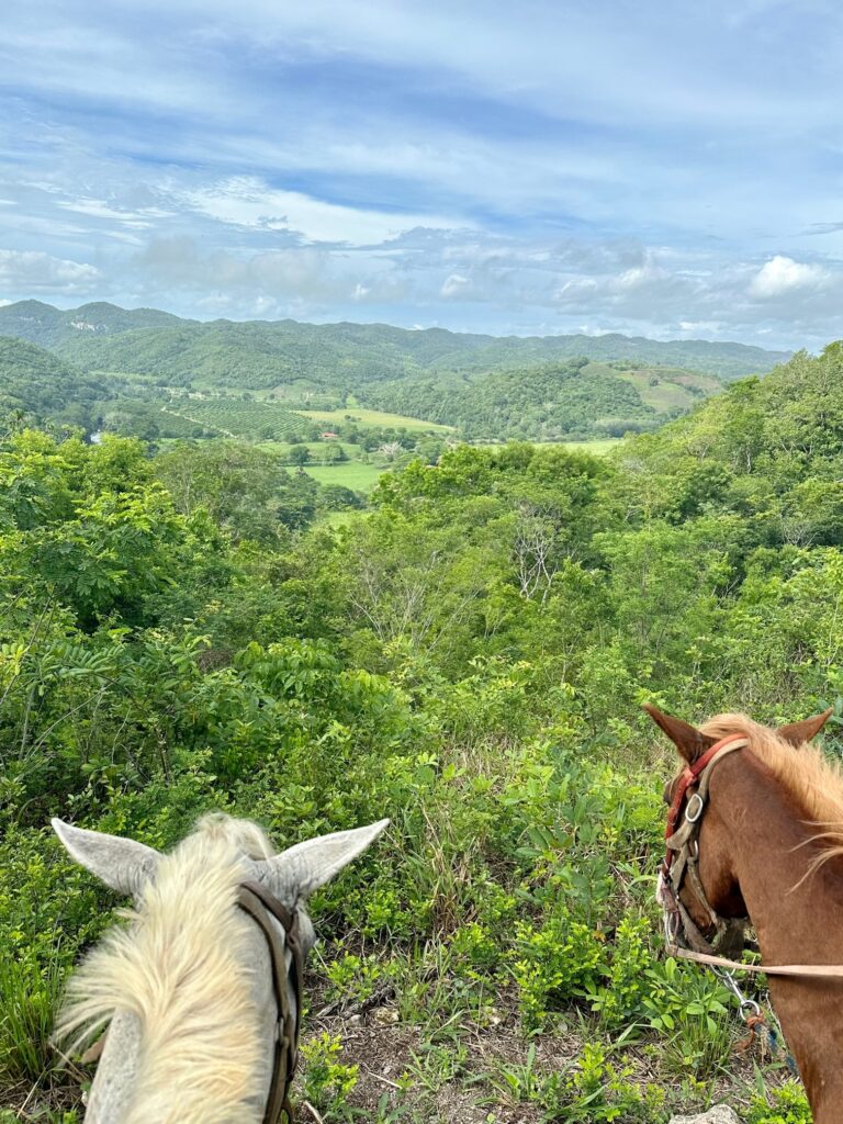 https://marriedwithwanderlust.com/wp-content/uploads/2023/07/View-from-the-horses-in-San-Ignacio-Belize-768x1024.jpeg