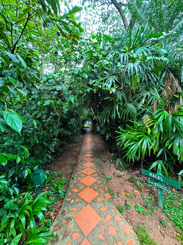 Walkway to pool at Sweet Songs Jungle Lodge