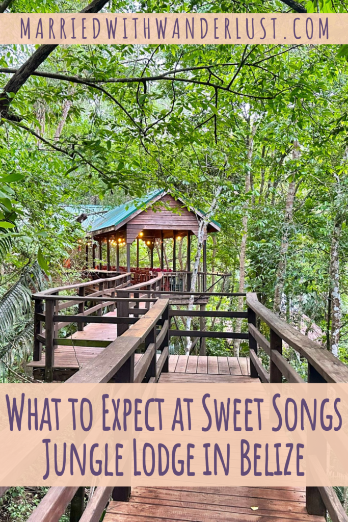 Sweet Songs Jungle Lodge: A Belize Getaway - Married with Wanderlust