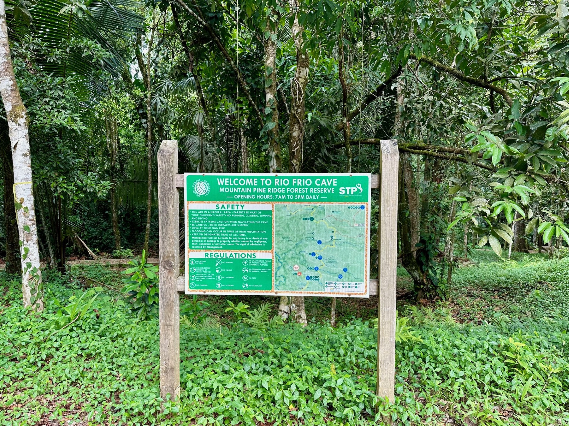 Visiting Belize's Mountain Pine Ridge Forest Reserve - Married with ...