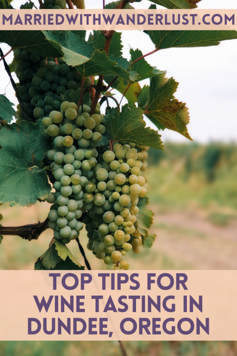 Tips for Wine Tasting in Dundee Hills, Oregon - Married with Wanderlust