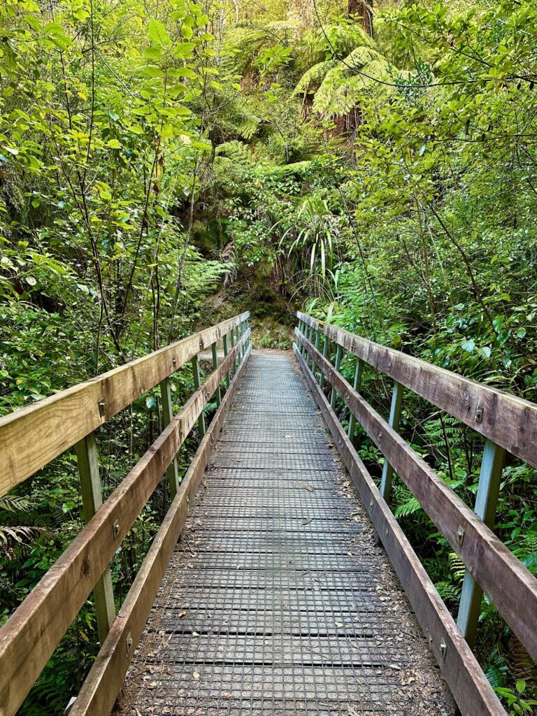 Wooden walkway in Abel Tasman National Park
