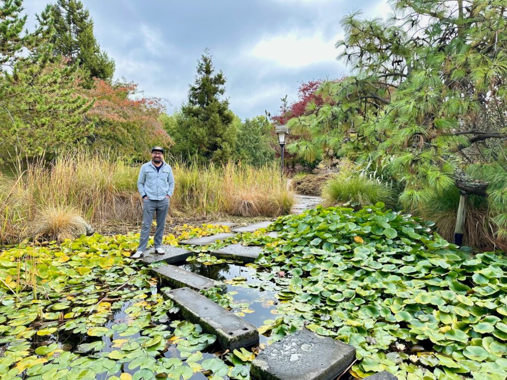 WC standing in the Miyazu Japanese Garden in Nelson, New Zealand surrounded by bright green lily pads