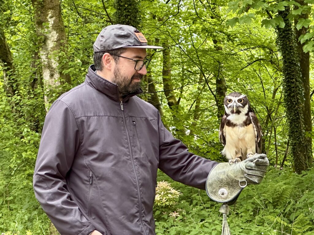 WC holding an owl at Bird of Prey Centre, Loch Lomond, Scotland